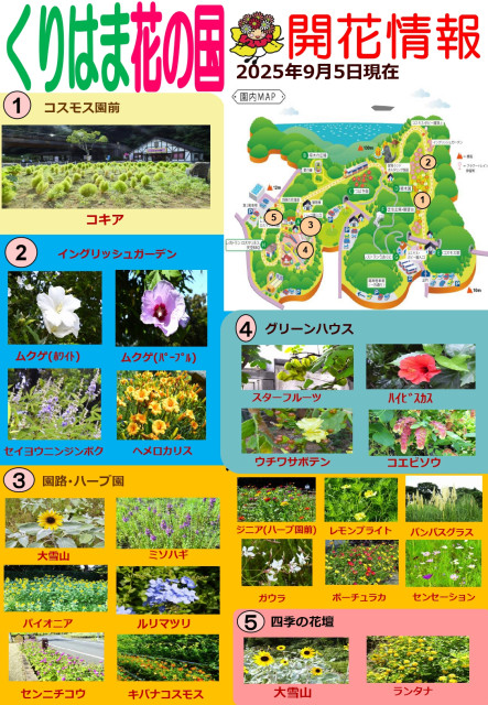 横須賀くりはま花の国・9/5～開花情報